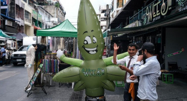 Turistička oaza legalizirala je marihuanu, no nakon tri godine je vraćaju na popis narkotika