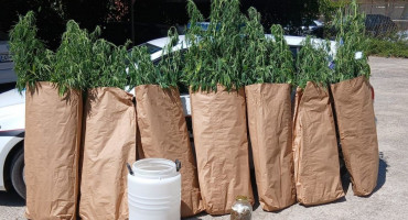 Policijska akcija u Čitluku