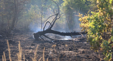 Posljedice požara u Ljubuškom 