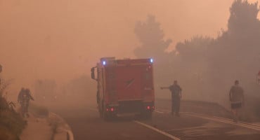 Požar u Dalmaciji, Pisak, Mimice