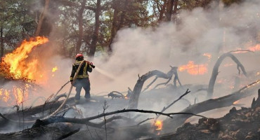 U kratko vrijeme buknulo nekoliko požara kod Makarske, policija traži piromana