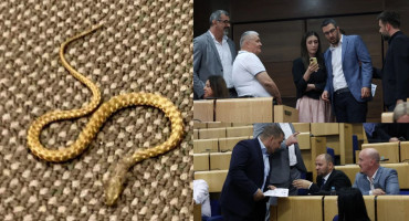 Zmija u Parlamentu