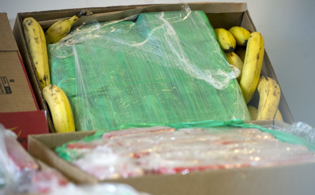 Carinik iz Ploča optužen zbog švercanja kokaina s bananama