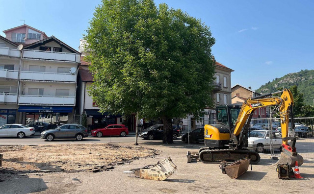 Apel za očuvanje jednog stoljetnog oraha u Širokom Brijegu