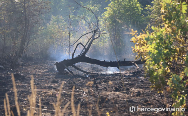 Fotograf Hercegovina.info zabilježio razmjere požara kod Ljubuškog