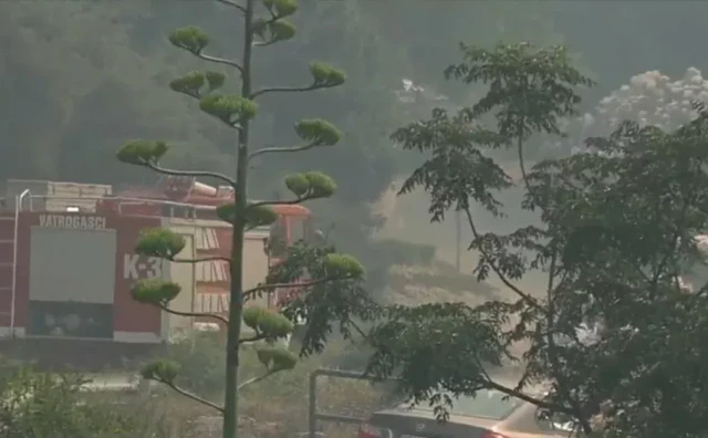 Požar uništio jednu od najvećih uljara u Hrvatskoj
