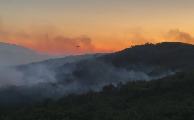 Gori više od 100.000 m² šume kod Gruda, očekuje se pomoć AirTractora i helikoptera OS BiH