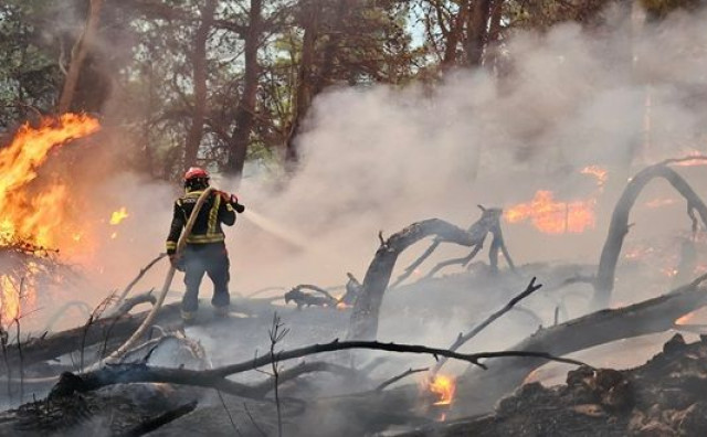 U kratko vrijeme buknulo nekoliko požara kod Makarske, policija traži piromana