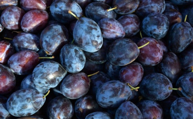 Šljive će poskupjeti ove godine