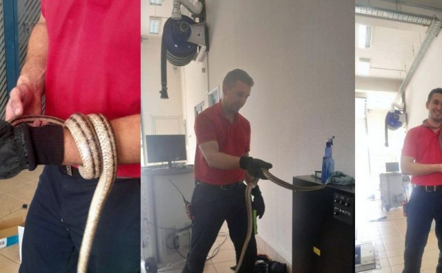 Vatrogasci iz Stoca uklonili zmiju iz prostorija tehničkog pregleda vozila