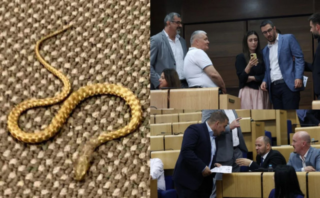 Zbog zmije u Parlamentu zatražena istraga, stigao i odgovor Rami Isaku
