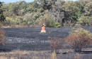 Požar između Stoca i Mostara