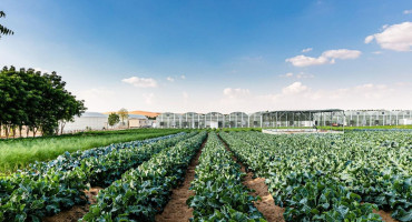 U ovoj državi uzgajaju voće i povrće na 50 stupnjeva