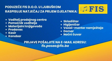 FIS posao