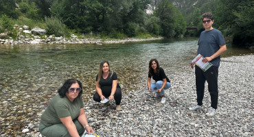 Konjic invazivne vrste