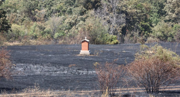 Požar između Stoca i Mostara
