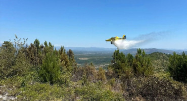 Air tractor pomaže vatrogascima u gašenju požara na području Radišića