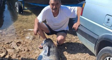 Ulovljen som kapitalac u Bilećkom jezeru