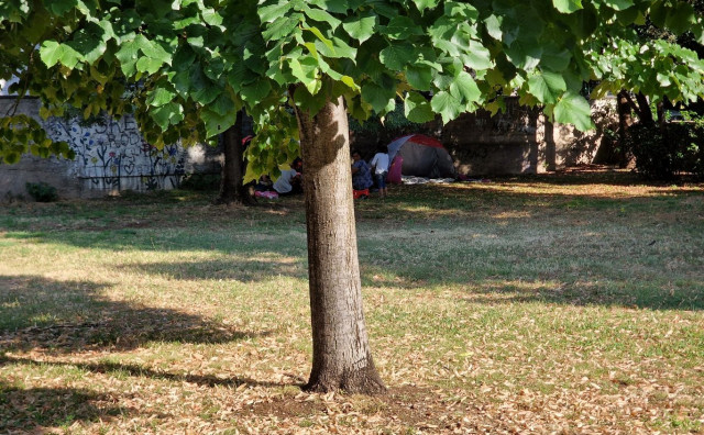 Ilegalno kampiranje u Mostaru: Redari ih potjeraju, oni se premjeste na novo mjesto