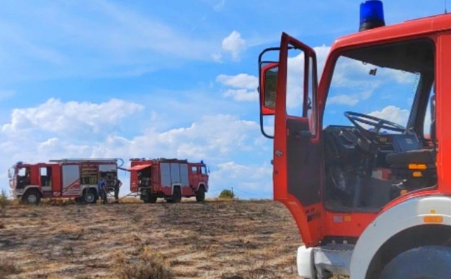 Izbio požar na zasadu smilja u Ljubuškom