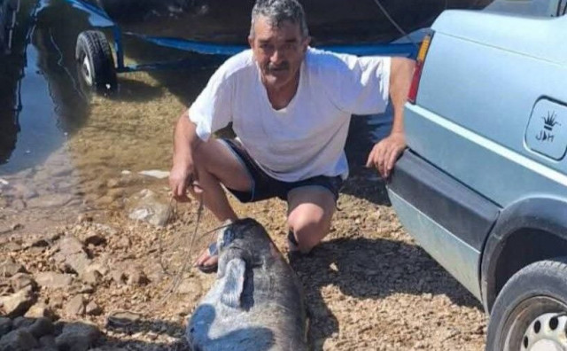U Bilećkom jezeru ulovljen kapitalac dug čak 212 centimetara i težak više od 55 kilograma