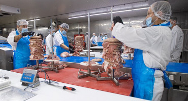 birtat kebab