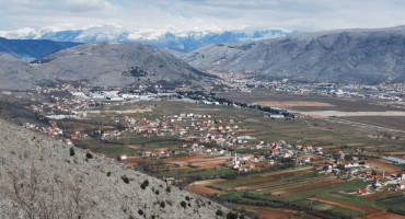 Jasenica