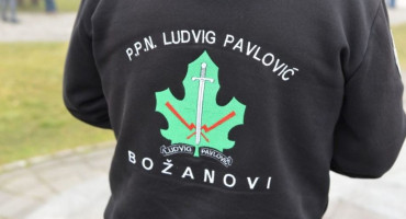 Ludvig Pavlović