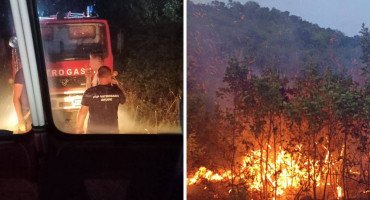 Požar u Gornjim Mamićima