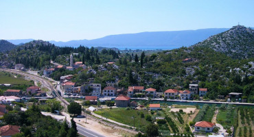rogotin