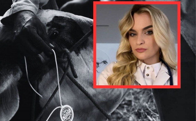 Zarazna bolest životinja ponovno se pojavila u Hrvatskoj, pitali smo stučnjakinju postoji li ugroza za BiH?