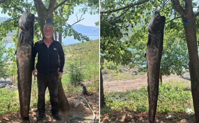 Iskusni ribar iz Bileće u tri dana ulovio dva soma kapitalca