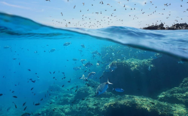 Duboke vode Jadrana zagrijavaju se višestruko brže