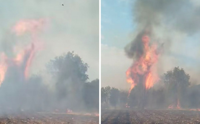 Požar kod Slipčića gasilo 40 vatrogasaca s 11 vozila