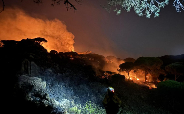 U Španjolskoj aktivno 20 velikih požara, vlada rasporedila vojnike