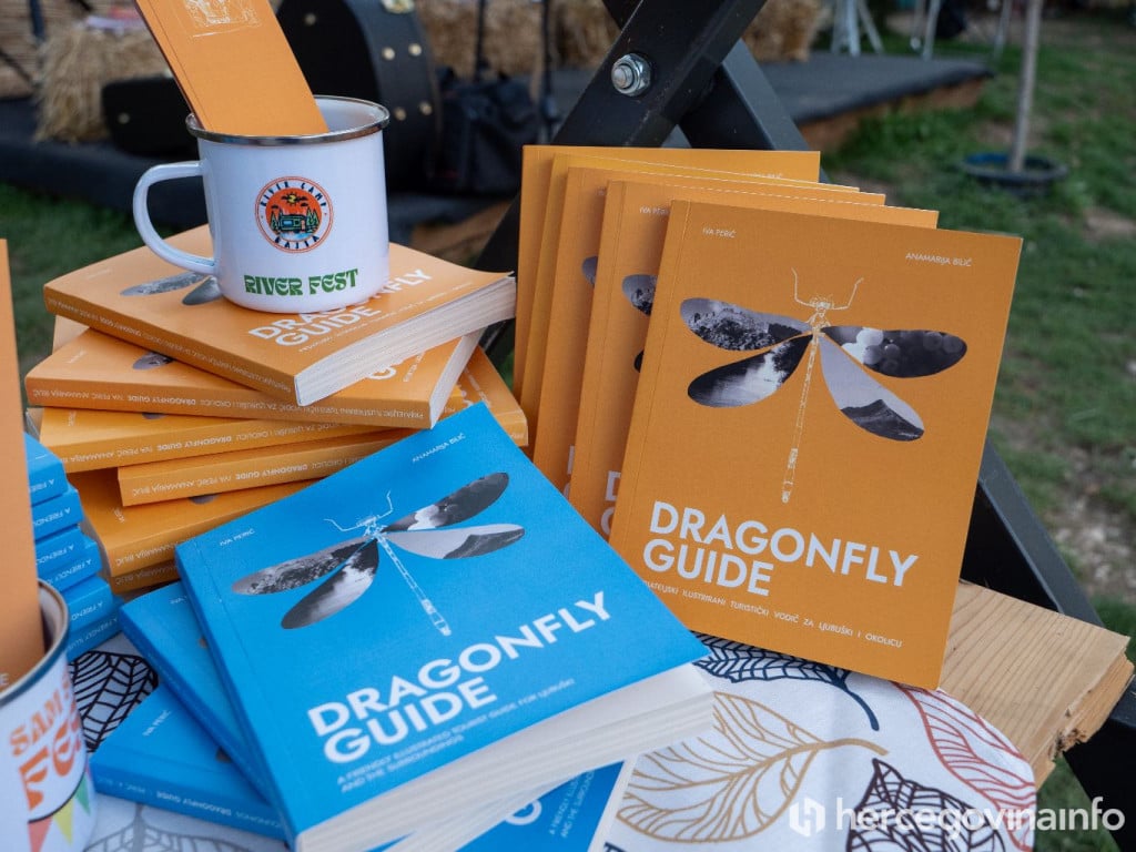 Dragonfly guide