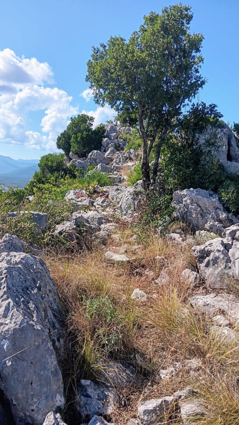 GangoROhodci Buturovica Ljubuški