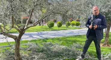 Spasojević: 'U Mostaru sinoć stradalo oko 100 stabala, hitno trebamo svrdlo za uklanjanje panjeva kako bi zasadili nova'