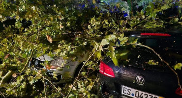 Olujno nevrijeme pogodilo Čapljinu: Vjetar lomio stabla, oštećena vozila i zgrade