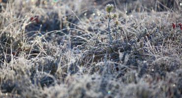 Hladni val stiže i u Hercegovinu, očekuje nas bura, pad temperatura i mogući snijeg na planinama