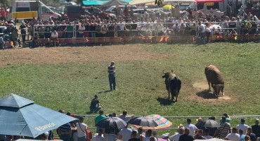 Mladić na koridi izgubio novčanik, ljudi mu skupili više nego što je imao