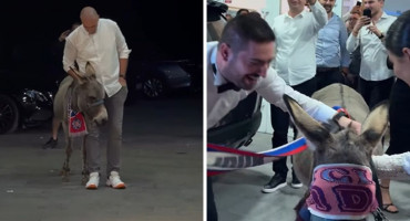 Na svadbi kod Mostara pojavio se magarac, kum je za iznenađenje imao dobar razlog
