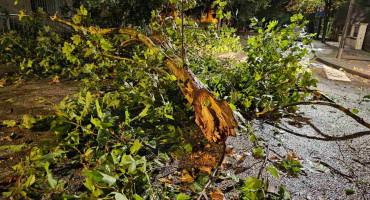 Sutra olujni vjetar širom BiH, očekuju se udari do 70 km/h