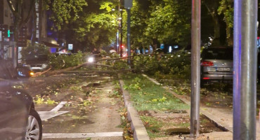 Snažno nevrijeme poharalo Mostar, čupalo stabla iz korijena i lomilo grane