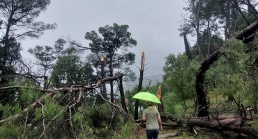 Hercegovina pod udarima jakog vjetra, meteorolozi izdali upozorenje