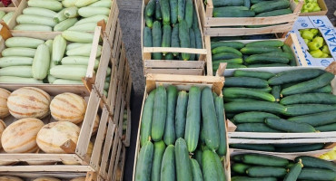 povrće na veletržnici Tasovčići