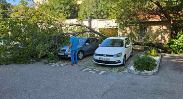 Tri vozila oštećena nakon pada stabla kod zgrade Vlade HNŽ u Mostaru