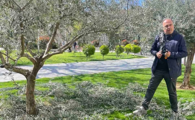 Spasojević: 'U Mostaru sinoć stradalo oko 100 stabala, hitno trebamo svrdlo za uklanjanje panjeva kako bi zasadili nova'