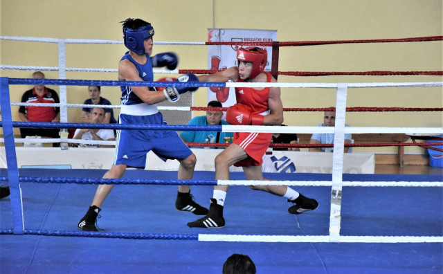 Četvrti boksački turnir 'Dani berbe grožđa 2025.' u Čitluku