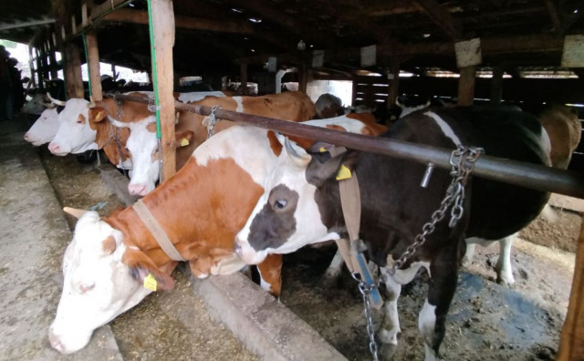 Kad se znanje, trud i rad udruže – rađa se PRAVI LIDER!